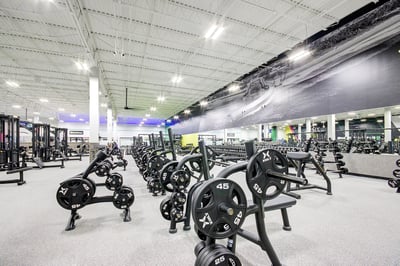 Plate Loaded Machines